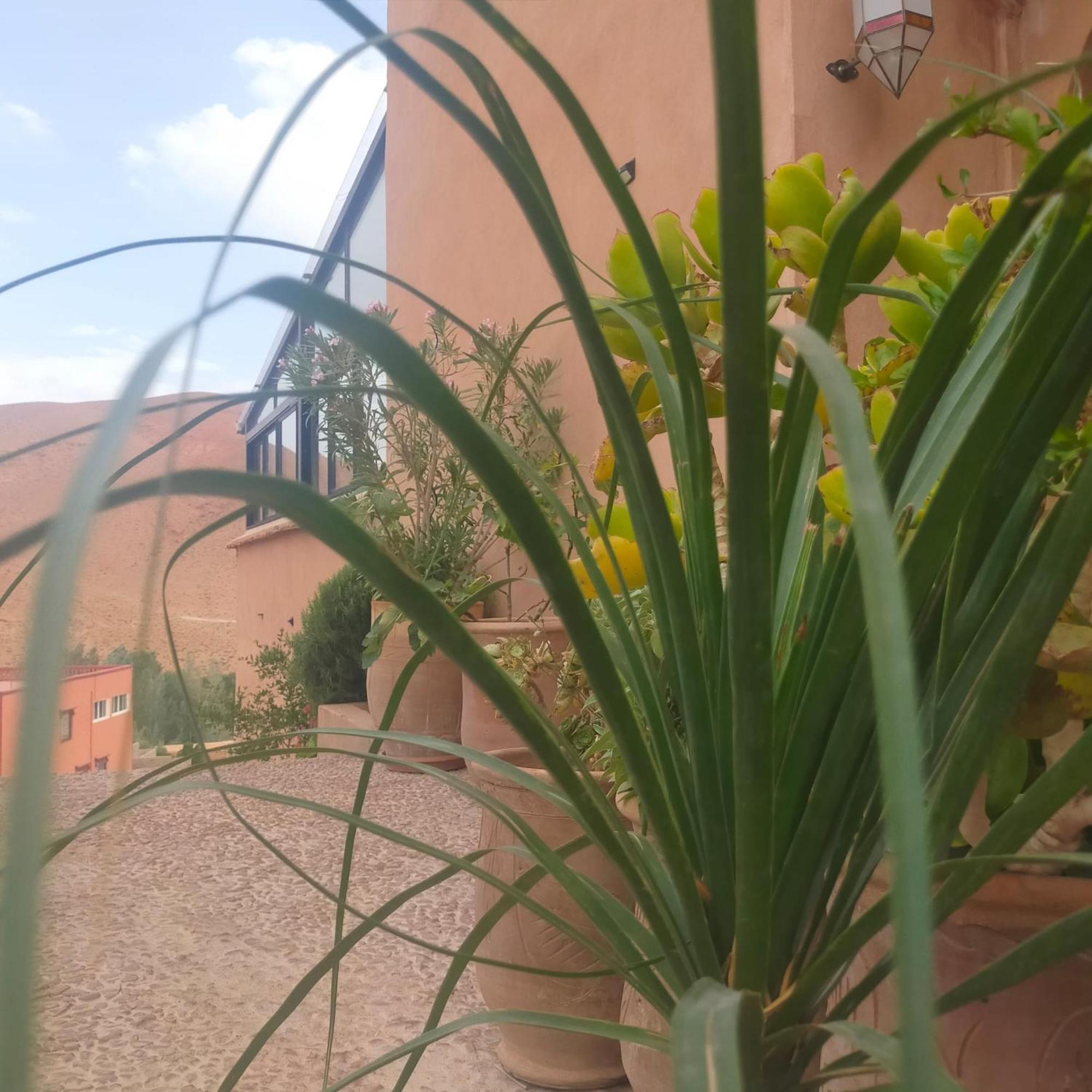 ホテル Kasbah Flilou Ait Ougliff エクステリア 写真